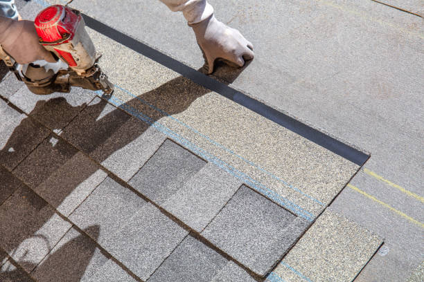 Best Roof Insulation Installation  in Salmon, ID